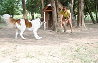 The Bark Zone