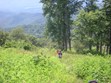 Shenandoah National Park & Skyline Drive Photo