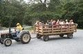 Take a ride on our 'HEE-EEY' Wagon
