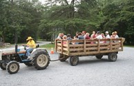 Take a ride on our 'HEE-EEY' Wagon