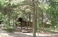 Kabins in the Woods