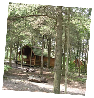 Kabins in the Woods