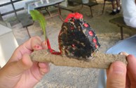 Rock Painting