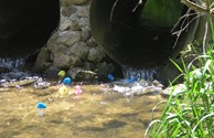 Rubber Ducky Race 2010