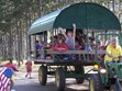 Farmer Arnie's Wagon Ride Photo