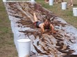 June 22,2012 - Muskie Festival in Hayward & Chocolate Weekend at the KOA Photo