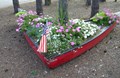Whimsical flower bed