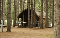 Kabin in the pines
