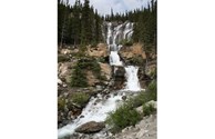 Tangle Creek