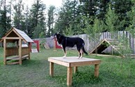 Kamp K9