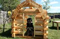 Kamp K9