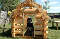 Kamp K9
