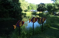 The pond