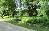 one of our many many flowerbeds