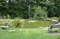 Small Pond