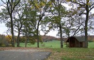View of 1-Room Kabin
