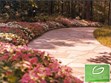 Garvan Woodland Gardens Photo