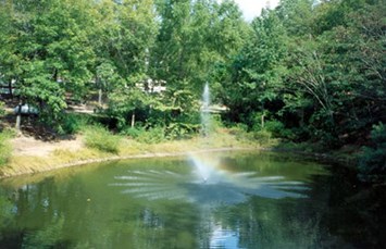 Arkansas Camping Locations Koa Campgrounds