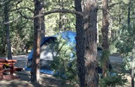 Northwoods Tent Site