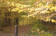 Walking Trails