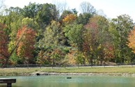 Autumn Leaves