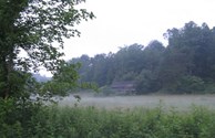 Foggy Barn