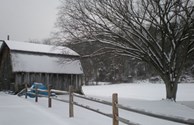 Winter Snow