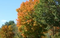 KOA Entrance for Fall