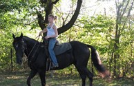 The Camp Horse