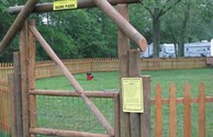 Our "Dog Park"