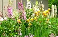 flowers everywhere
