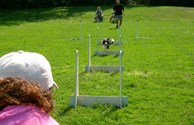 Can your Fido do this?