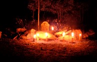 Site Decorations
