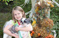 We cant forget our furry friends