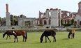 Cumberland Island National Seashore Photo