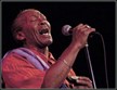 Sept 16 & 17 2011 - Amelia Island Blues Festival Photo