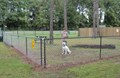 Enjoying Our Pet Park