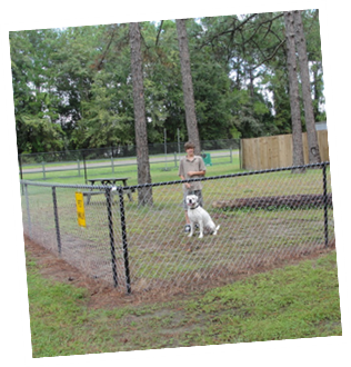 Enjoying Our Pet Park