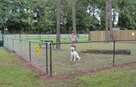 Enjoying Our Pet Park