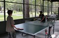 A Family Ping-Pong Game