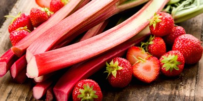 Kankakee County Museum's 34th Annual Rhubarb Festival