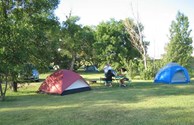 Shady Tent Sites