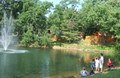 Kids Throwing Rocks into Pond