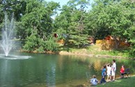 Kids Throwing Rocks into Pond