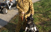 puppy costume