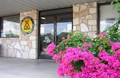 Entrance with Bougainvillea