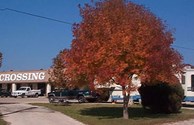 Pull thru's with Main Building in background