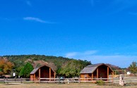 Camping Cabins