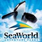 Sea World Photo