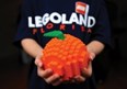 LEGO LAND Photo